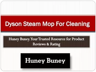 dyson steam mop for cleaning