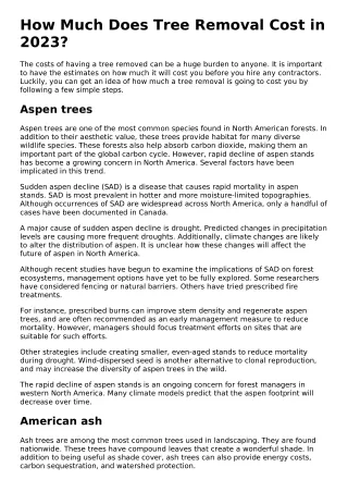 how much does tree removal cost in 2023