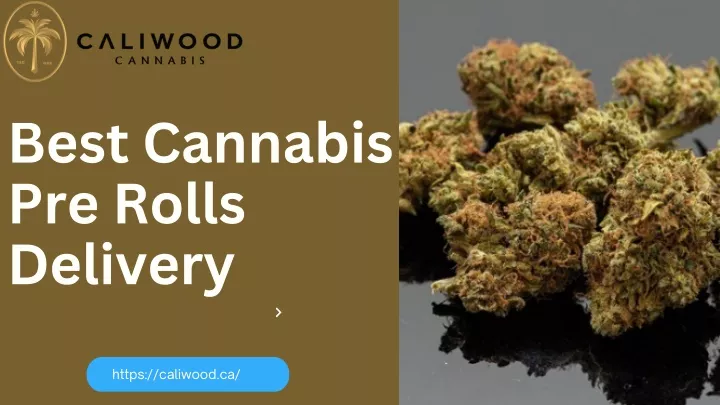 Ppt Get The Best Cannabis Pre Rolls Delivery Caliwood Cannabis Powerpoint Presentation Id