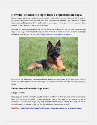 how do i choose the right breed of protection