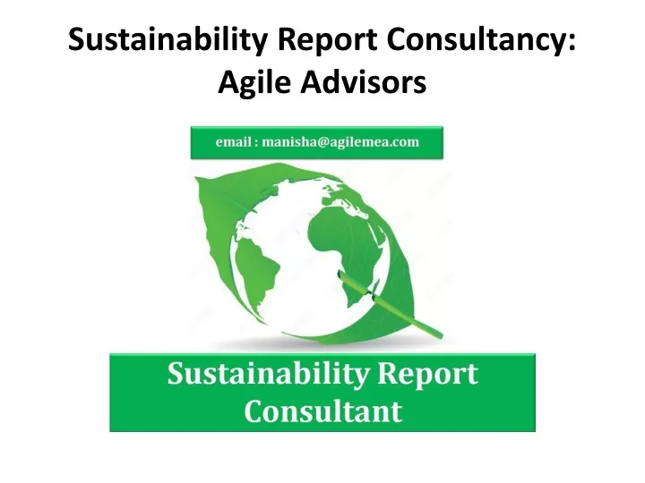 sustainability report consultancy agile advisors