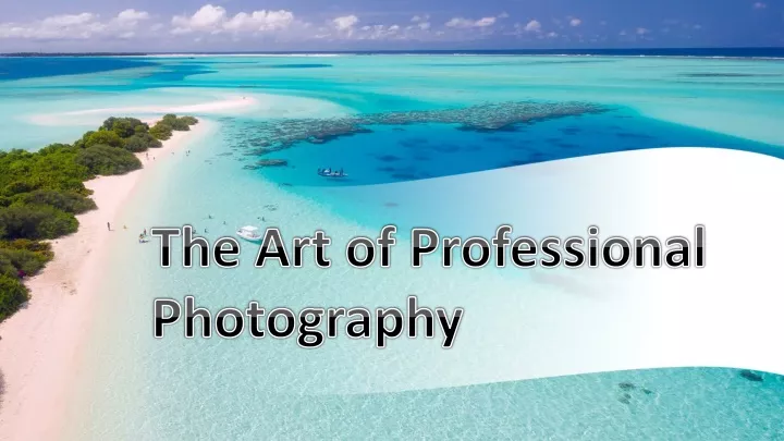 the art of professional photography