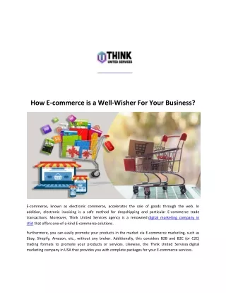Ecommerce Development Services USA