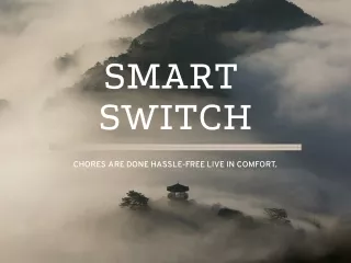 smart switch
