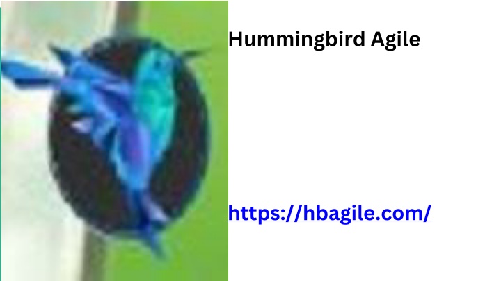 hummingbird agile