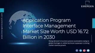 Application Program Interface Management Market