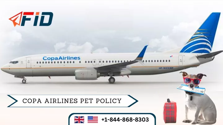 copa airlines pet policy