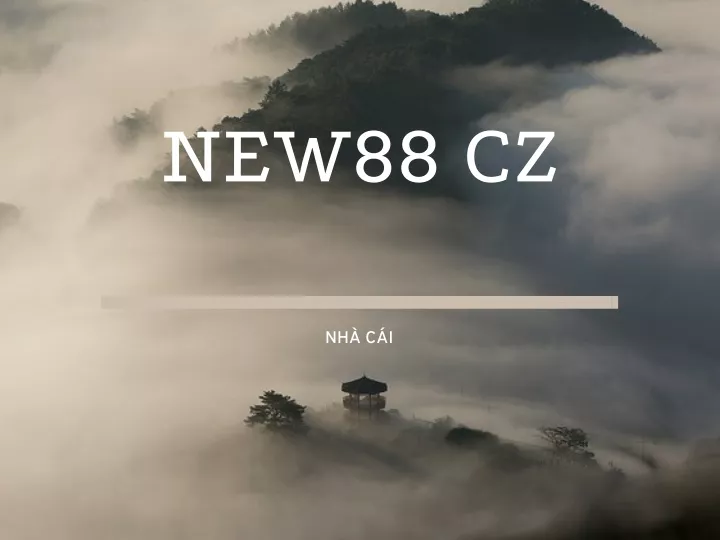 new88 cz