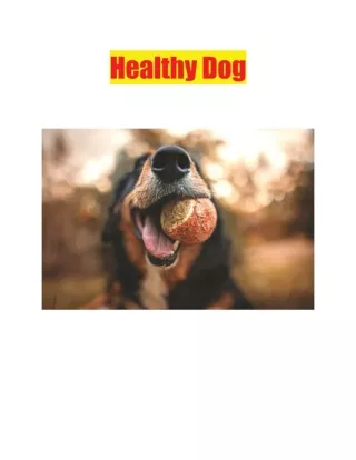 Healthy Dog