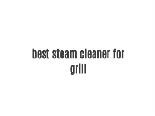 best steam cleaner for grill