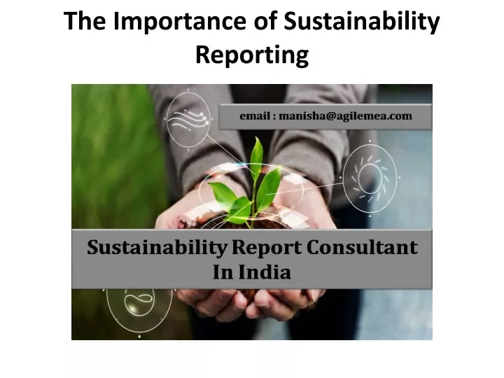 the importance of sustainability reporting