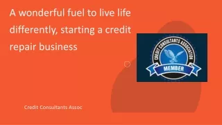 Accept the opportunity of starting a credit repair business
