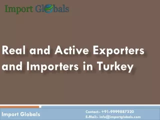 Real and Active Exporters and Importers in Turkey