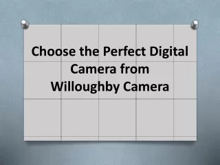 Choose the Perfect Digital Camera from Willoughby