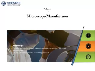 Stereo Microscope