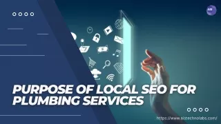 Purpose of Local SEO for Plumbing Services