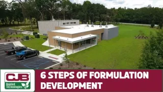6 steps of formulation development