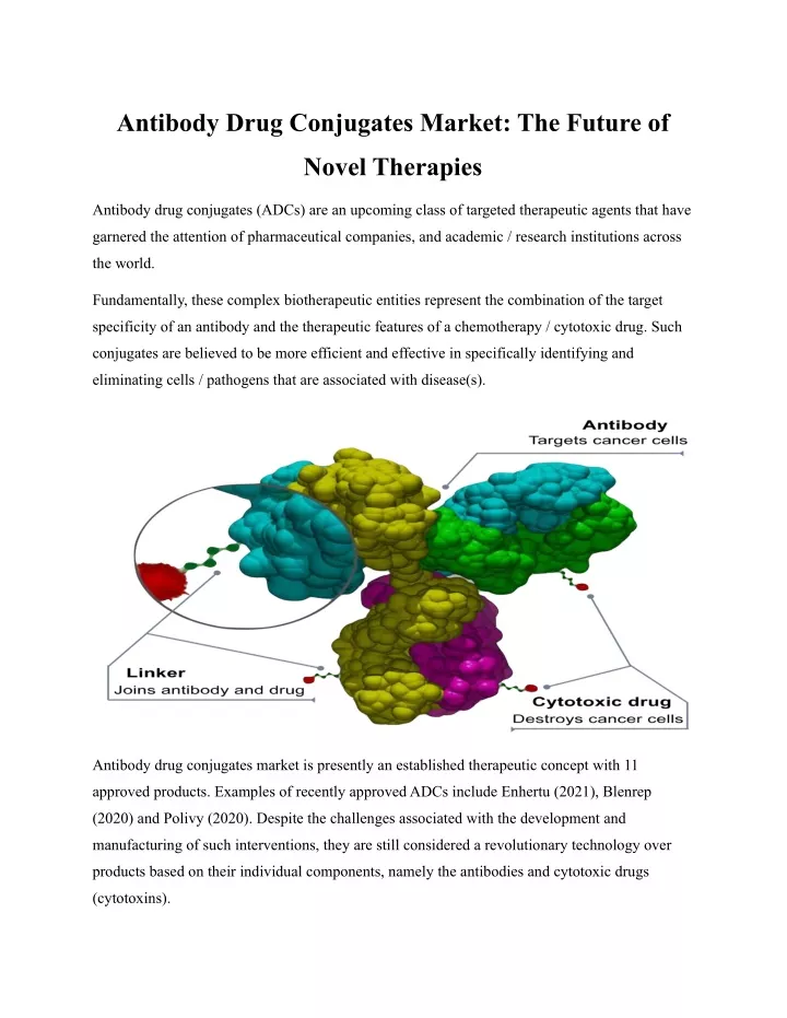antibody drug conjugates market the future of