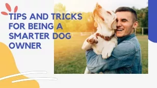 Tips and tricks for being a smarter dog owner