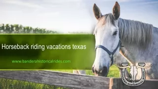 Horseback riding vacations texas