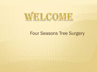 four seasons tree surgery