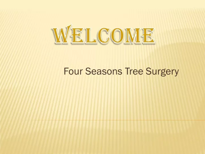 four seasons tree surgery