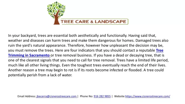 in your backyard trees are essential both