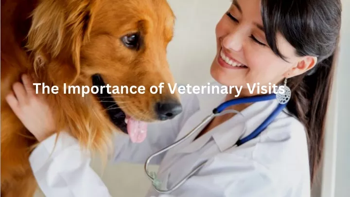 the importance of veterinary visits