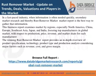rust remover market update on trends deals
