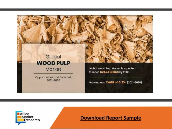 download report sample