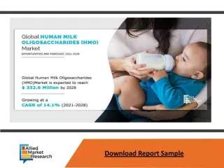 download report sample
