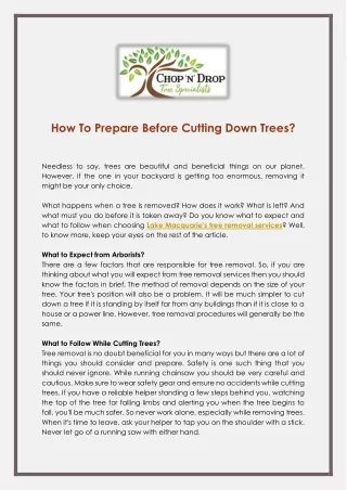How To Prepare Before Cutting Down Trees