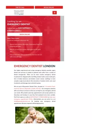 Emergency Dentist London Pro Website PDF