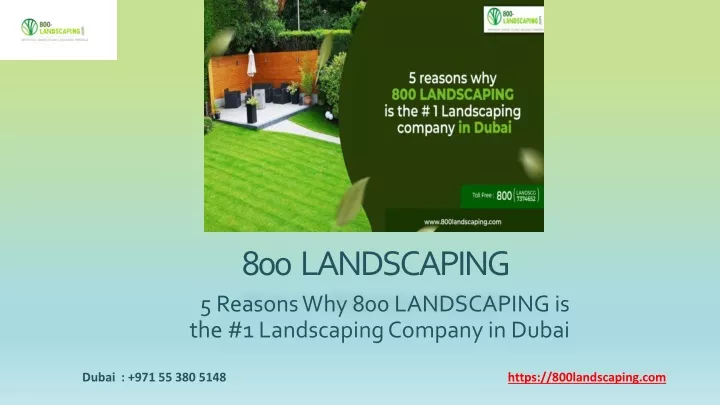 5 reasons why 800 landscaping is the 1 landscaping company in dubai