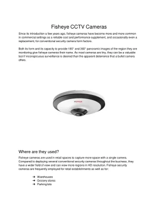 Fisheye CCTV Cameras
