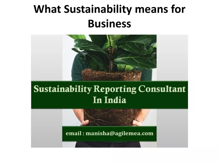 what sustainability means for business