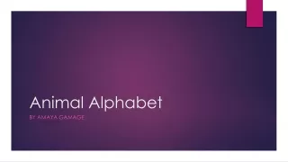 Animal Alphabet(1)