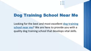 Dog Training School Near Me