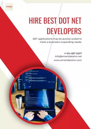 Hire Best Dot NET Developers | smartData