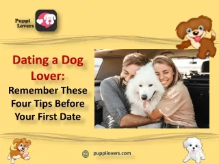 Dating a Dog Lover: Remember These Four Tips Before Your First Date