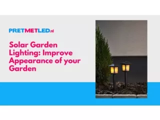 Solar Garden Lighting  Improve Appearance of your Garden| PretmetLED