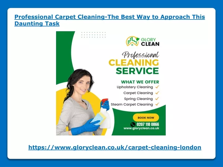 professional carpet cleaning the best