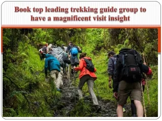 Book top leading trekking guide group to have a magnificent visit insight