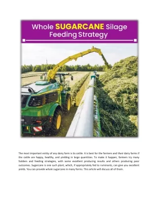 whole sugarcane_ feeding strategy