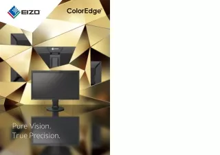 EIZO ColorEdge Monitor