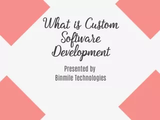 What is Custom Software Development ??