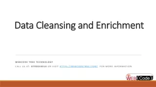 What is data cleansing and enrichment process? Important for sales and marketing