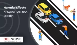 Effects of Noise Pollution Explain - Delnoise