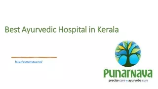Best ayurvedic center in kerala | Punarnava Ayurveda