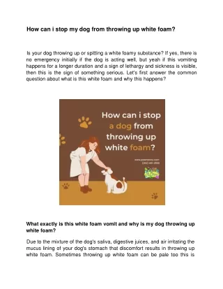 How can i stop my dog from throwing up white foam